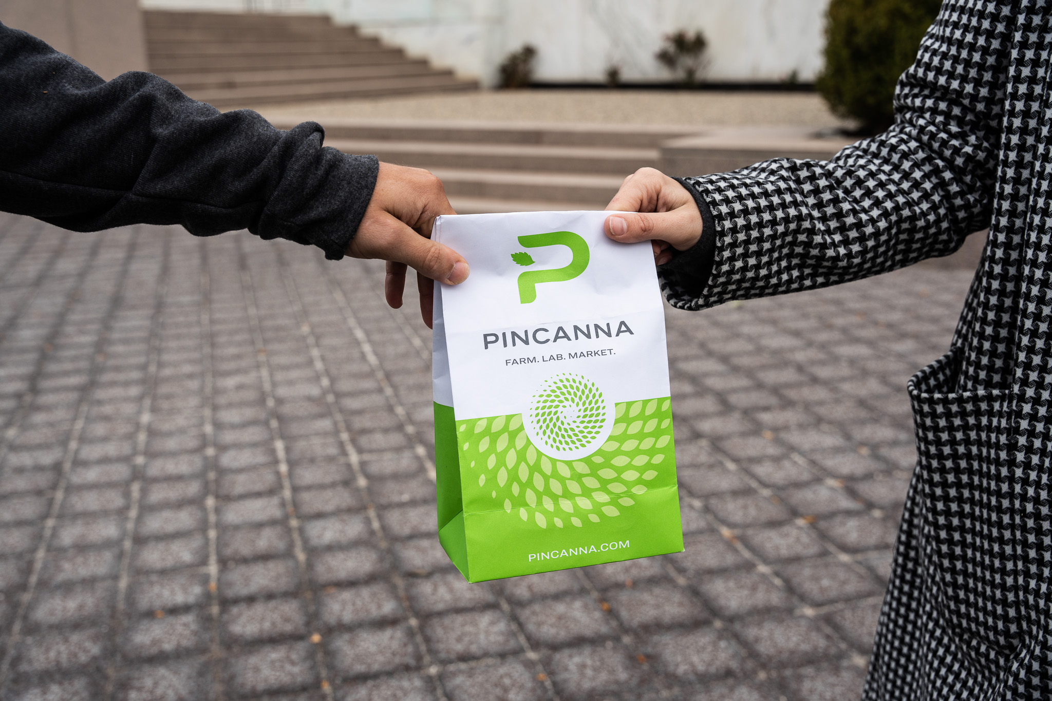 Pincanna gallery image 25